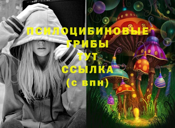 Альфа ПВП Алзамай
