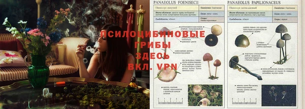 кокаин колумбия Абдулино