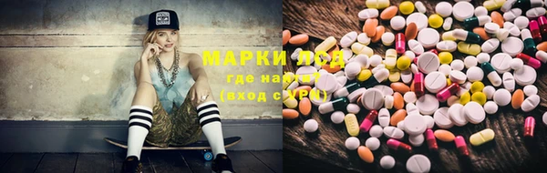 индика Нязепетровск