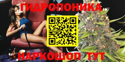 гидра Ленинск-Кузнецкий