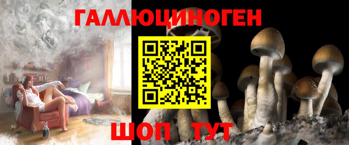 Фурманов  Псилоцибиновые грибы Magic Shrooms  Вход с VPN  Псилоцибиновые грибы мухоморы 