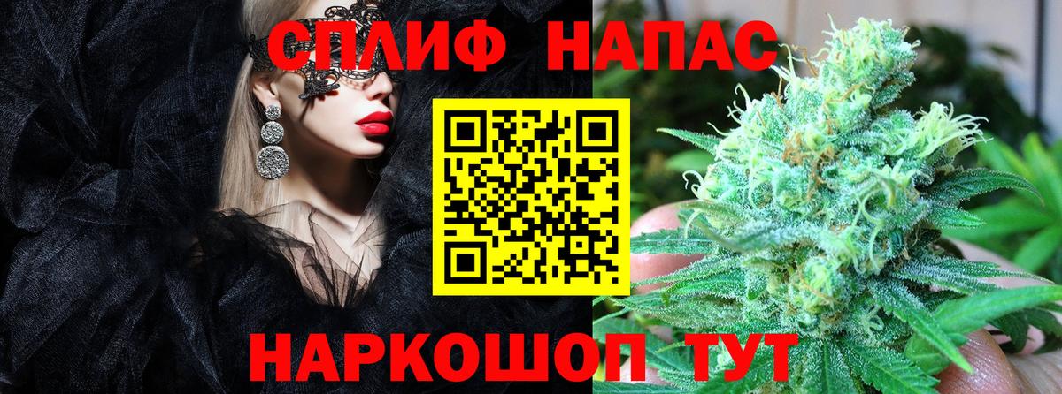 Конопля сатива Фурманов